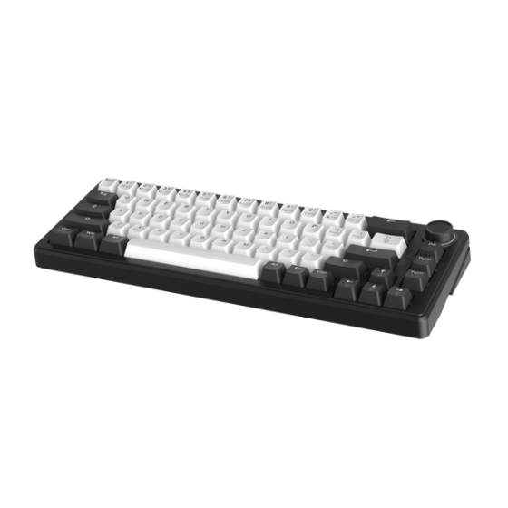 Bàn Phím Cơ DareU EK65s White - Black PBT, Led RGB, 2 Sides RGB Strip, Type-C