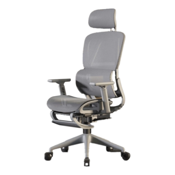 Ghế công thái học CTH-919 | Màu xám